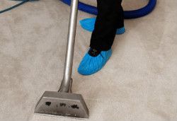 Carpet Cleaning Muswell Hill
