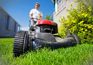 grass-cutting-muswell-hill