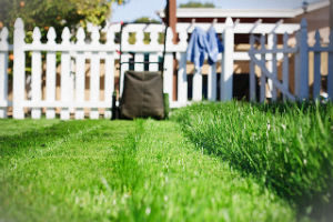 grass-cutting-services-muswell-hill